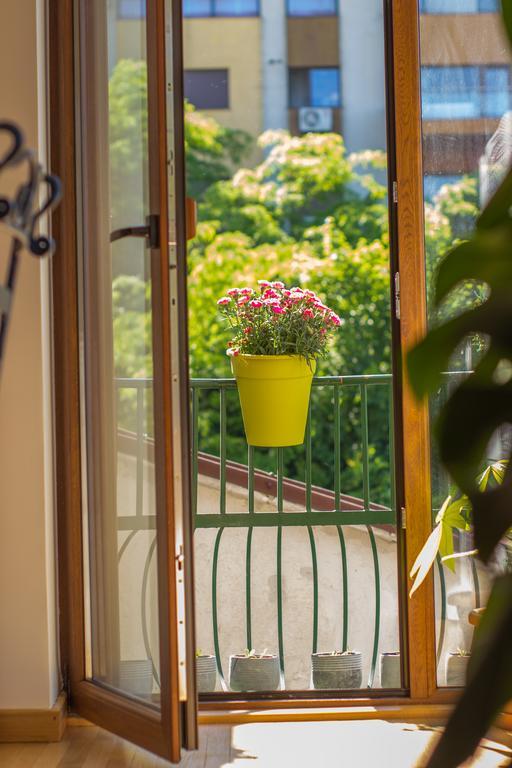 Voluntari Silvia'S Apartment מראה חיצוני תמונה